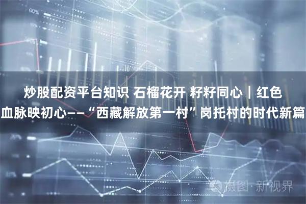 炒股配资平台知识 石榴花开 籽籽同心｜红色血脉映初心——“西藏解放第一村”岗托村的时代新篇